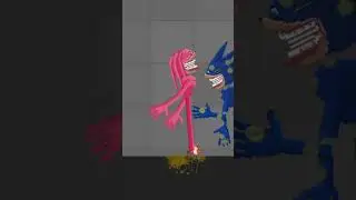Who win  battle  Ragdoll playground short