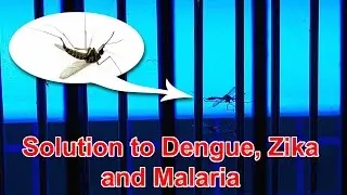 Akari AEMK 210 Electric Mosquito Killer