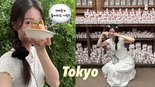 일본 여행 vlog 06 | 일본인도 잘 모르는 행운의 고양이 신사🐱⛩️ 지브리팬이라면 필수코스 토토로 슈크림빵 카페! 이자카야에서 일본문화 공부✏️