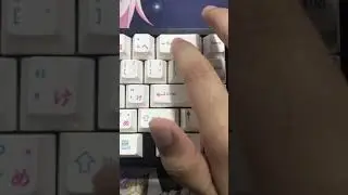 Owlab Stab + Alpaca V2, space Cobalt Piano (205g0,xht-bdz)