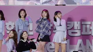 [4K] 201111 에이프릴(APRIL)_레이첼 예쁜 게 죄 [경북대학교 상주캠퍼스 대동제] 직캠(fancam)