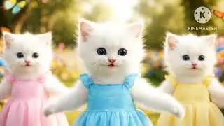 ✅ “The Happy Dancing Kittens” 🐱💃