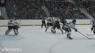 Hibbing vs Hermantown High School Hockey Highlights