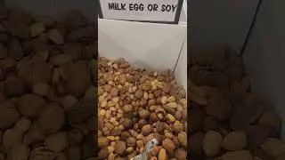 Just a Bunch of Mixed Nuts!!! #food  #dangerous #food #samsung #poison #beware #nutritiontips #psa