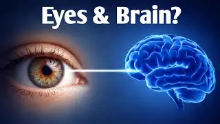 A Simple Eye Test Linked to Brain Health, According to New Research