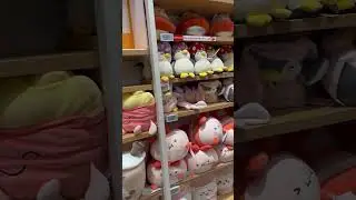 These Plushiest Are So Cute & Soft #minisoshopping #miniso #plushies #aesthetic