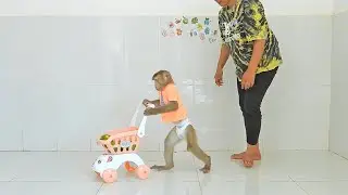 Smart Boy Kako Walking Push Stroller