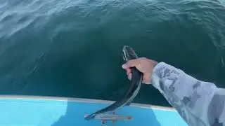 فريق رحاب ناقص اليوم حيلوو🤣👍🏻🎣