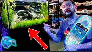 КАК ИСПОЛЬЗОВАТЬ ПЫЛЕСОС ДЛЯ ГРАВИЯ В АКВАРИУМЕ / КАК ЧИСТИТЬ АКВАРИУМ