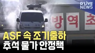 추석 물가 잡기?&hellip;ASF 발생에도 조기 출하 허용
