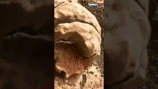 Mars Rover Captured Strange Formation on the Surface of Mars Planet! #shorts #lifeonmars #mars