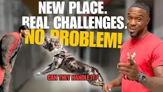 New Environment, New Challenges | Confidence Building & Bite Work at Warehouse