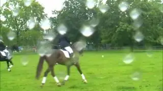 Dag van 't Levend Erfgoed dd 3 juni 2012.wmv