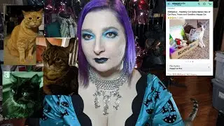 Kitnip cat subscription box unboxing March 2020 💜🦇💜
