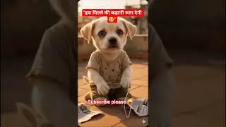 &ldquo;किसी ने नहीं 😱😱 ऐसा होगा. ##ytshorts#shortvideo#viralshorts#hindishorts