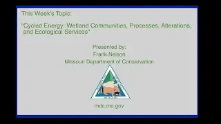 Winter Learning Series 2023 - Cycled Energy in Wetlands