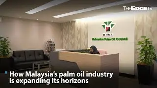 How Malaysia&rsquo;s palm oil industry is expanding its horizons