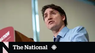 Liberals promise 'renters' bill of rights' to fight housing crisis