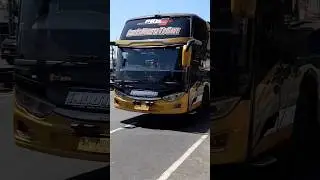 Bus Travel After Long Eid Holiday #bus #travel #holiday #short #shorts