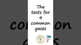 Gas tests - the tests for 4 common gases
