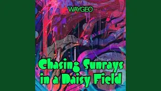 Chasing Sunrays in a Daisy Field
