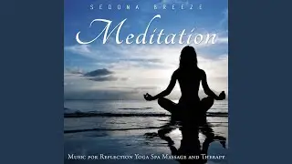 Mindful Reflection