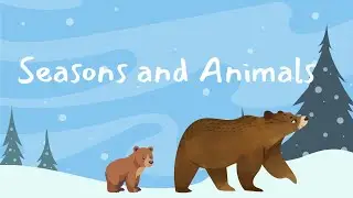 Discovering Seasons with Animals | Kids Educational Video