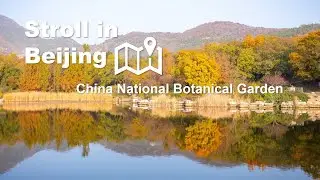 Stroll in Beijing&mdash;China National Botanical Garden