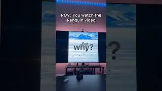 POV: Вы смотрите видео с пингвином 🐧 #короткометражки #комедия #смешно