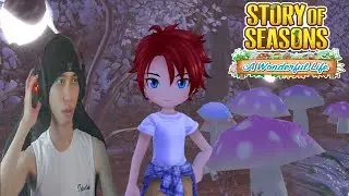 All Events Nami's Heart & Marriage - Story of Seasons: A Wonderful Life