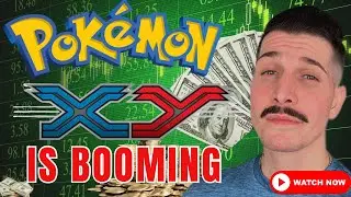 Kalos Nostalgia is Real- And So Are The Prices! Pok&eacute;mon Megas Return and they&rsquo;re better than ever!