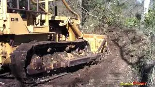 Super D6 VS Tree