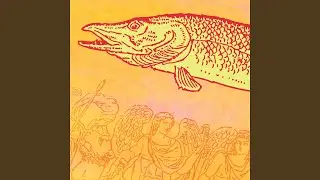 Xerazade