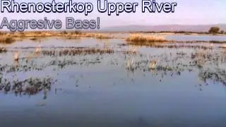 Rhenosterkop Upper River