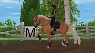 Training my new youngster Stallion Sunshine in Star Stable Online, SSO realistic roleplay 🐴☀️
