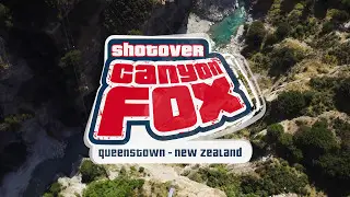 Shotover Canyon Fox