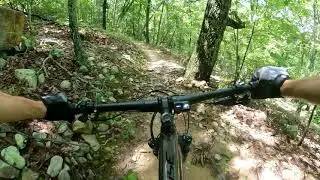 Mountain Biking Coldwater Mountain Alabama | Riding Bomb Dog
