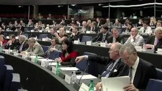 Ivo STREJČEK, European Conservatives and Reformists