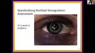 Non-Fatal Strangulation Case Review: A Clinical Practice Discussion