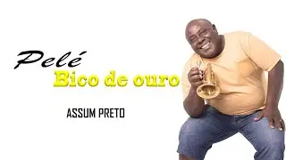 Assum Preto com Pel&eacute; Bico de Ouro