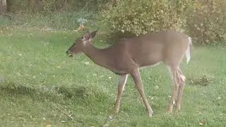 DSCN5780