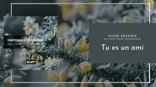Tu es un ami