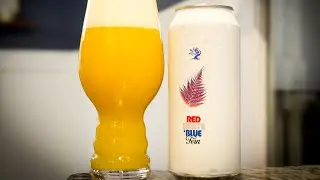 Tree House - Red, White, and Blue Fern // Beer Review 