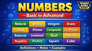 All About Numbers | Easy Guide with Examples & Notes | Types of Numbers #numbers #basicmaths #was
