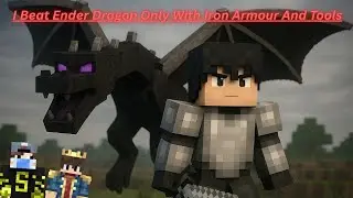 Iron Armour beat Ender Dragon on minecraft 