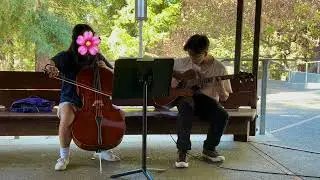 Magnolia - Laufey (Cello + Guitar Cover)