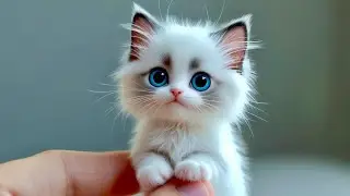 🇺🇸 CUTEST Talking Kittens in America?! Part 34 Will MELT Your Heart & Make You Laugh!