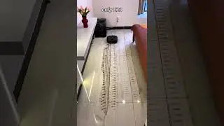 &ldquo;NYC Apartment Cleaning Hack 🗽 | iRobot Roomba Max 705 with AutoEmpty Dock!&rdquo;