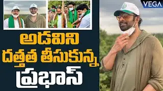 Prabhas Adopts Forest Land in Hyderabad and Prabhas Donates Rs 2 Crores || #Prabhas #Adopts #Forest