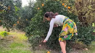 Village Girl in Nature 🌿 Rural Routine | Simple Life | Traditional Living | Village Vlog
